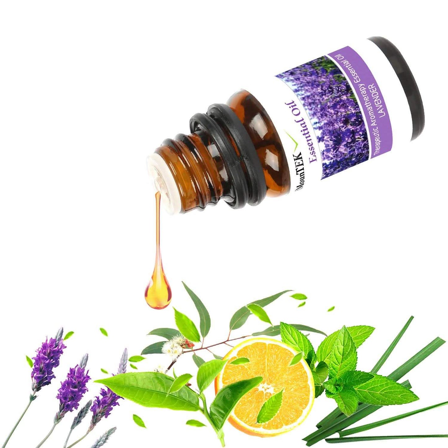 6-Pack: Therapeutic Aromatherapy Essential Oils Bottle DailySale