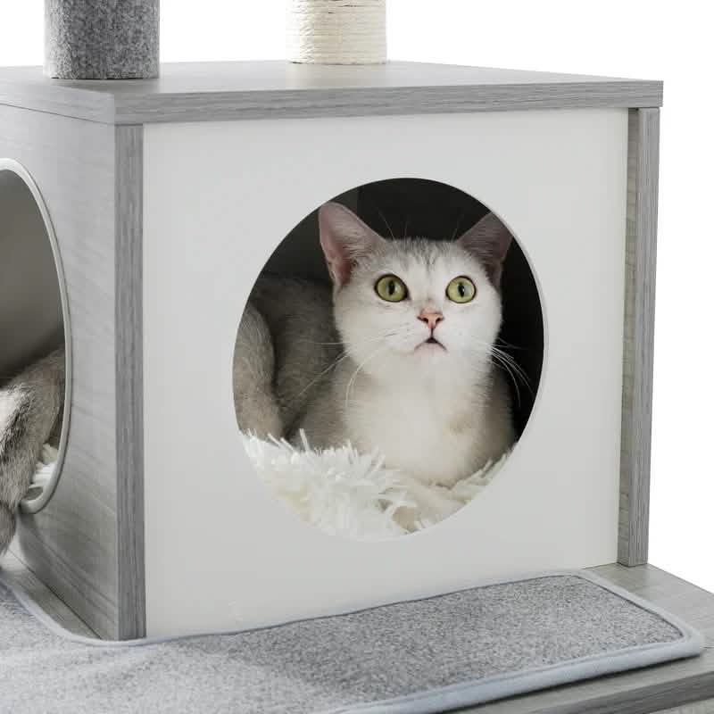61.8" Cat Tree DailySale