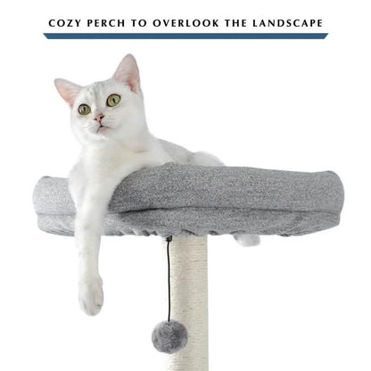 61.8" Cat Tree DailySale