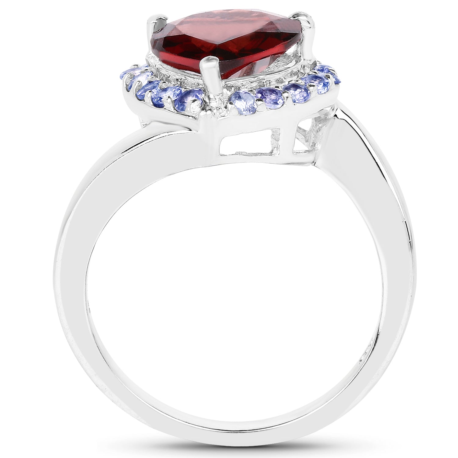 3.26 Carat Genuine Garnet and Tanzanite .925 Sterling Silver Ring Bids.com
