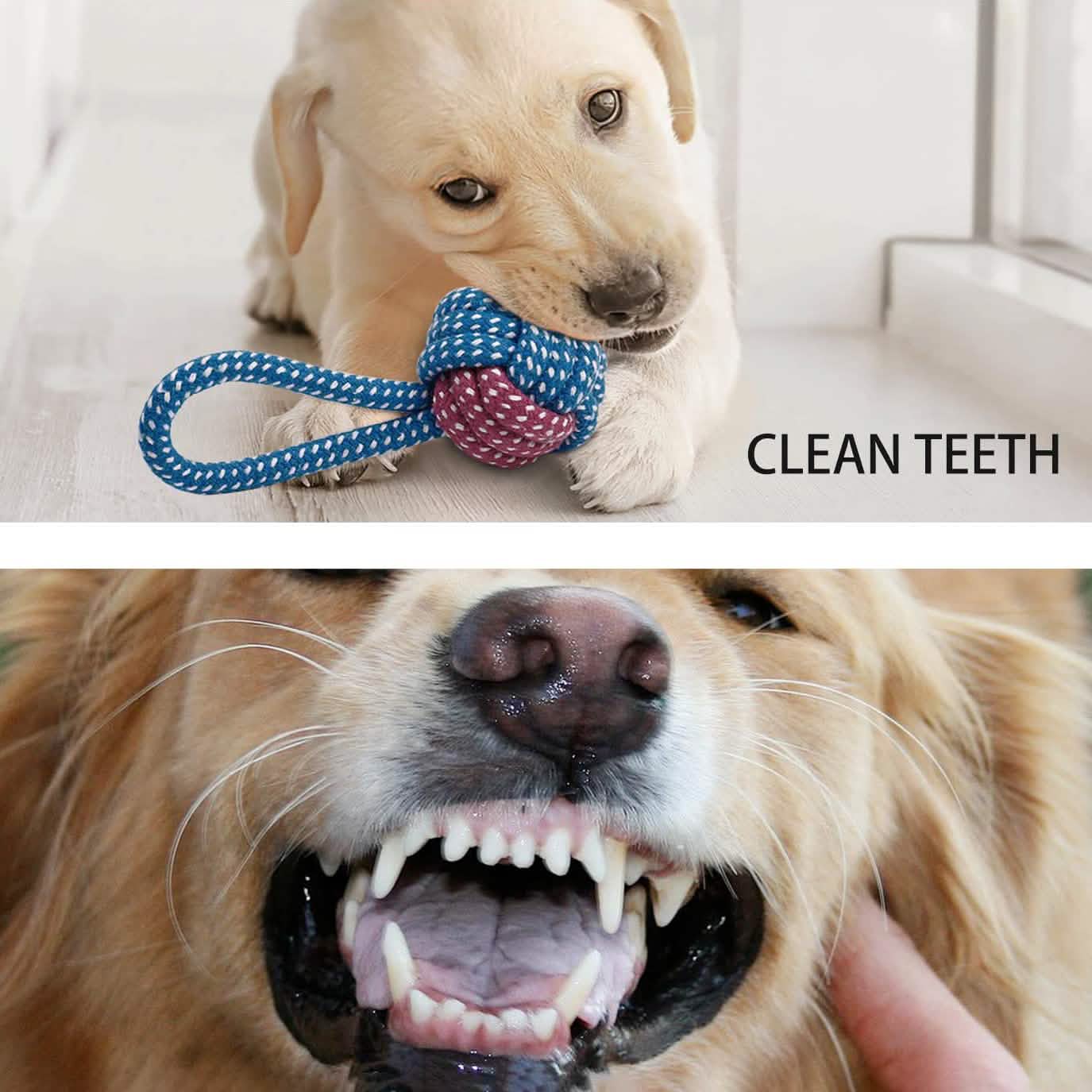 7-Piece: Puppy Cord Chew Toys DailySale