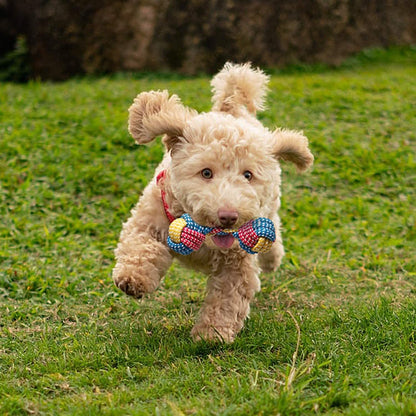 7-Piece: Puppy Cord Chew Toys DailySale