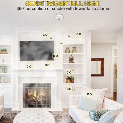 Portable Carbon Monoxide Detector – Battery-Operated CO Alarm DailySale
