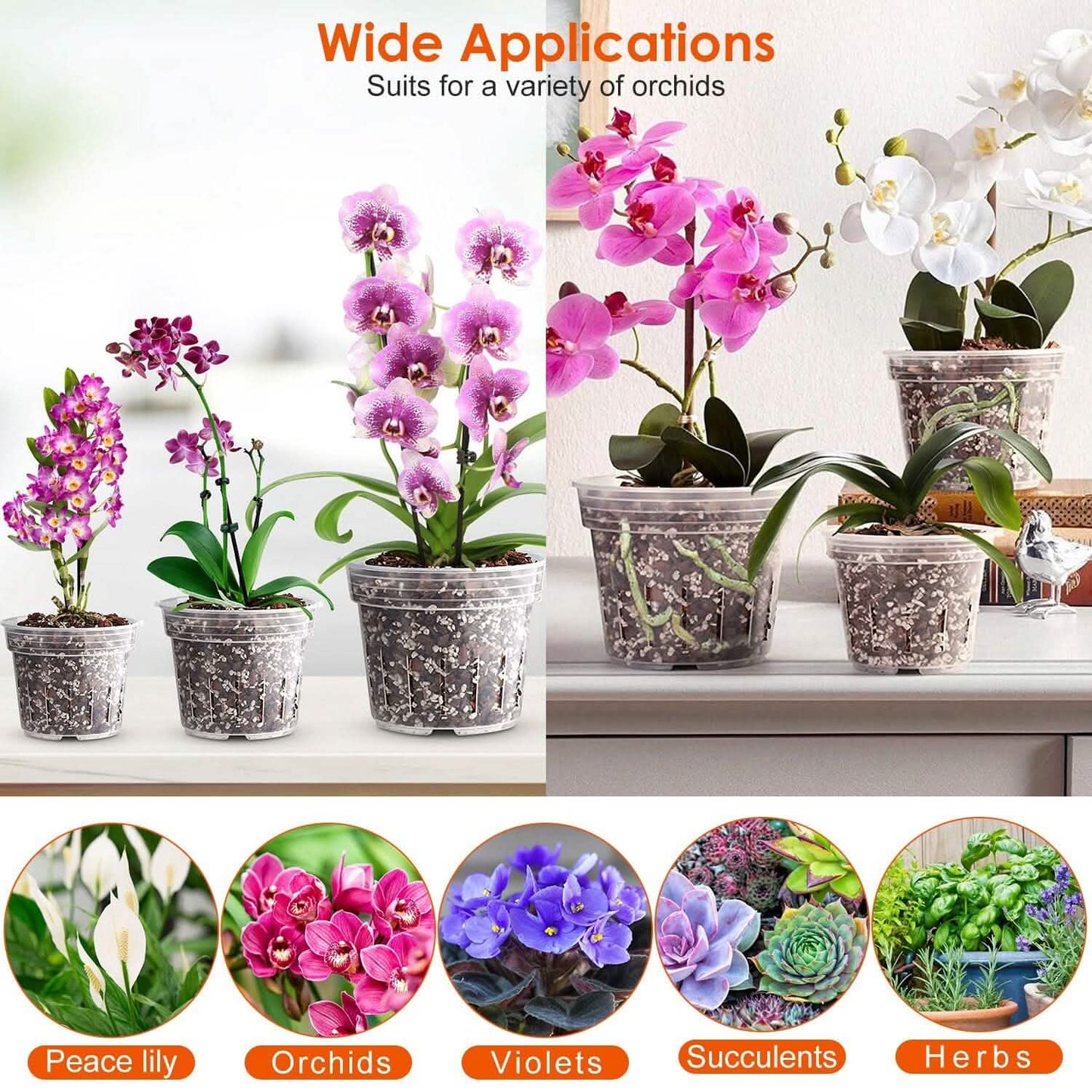 9-Piece: Orchid Pots Clear Reusable Plastic Flower Plant Nursery Planter DailySale