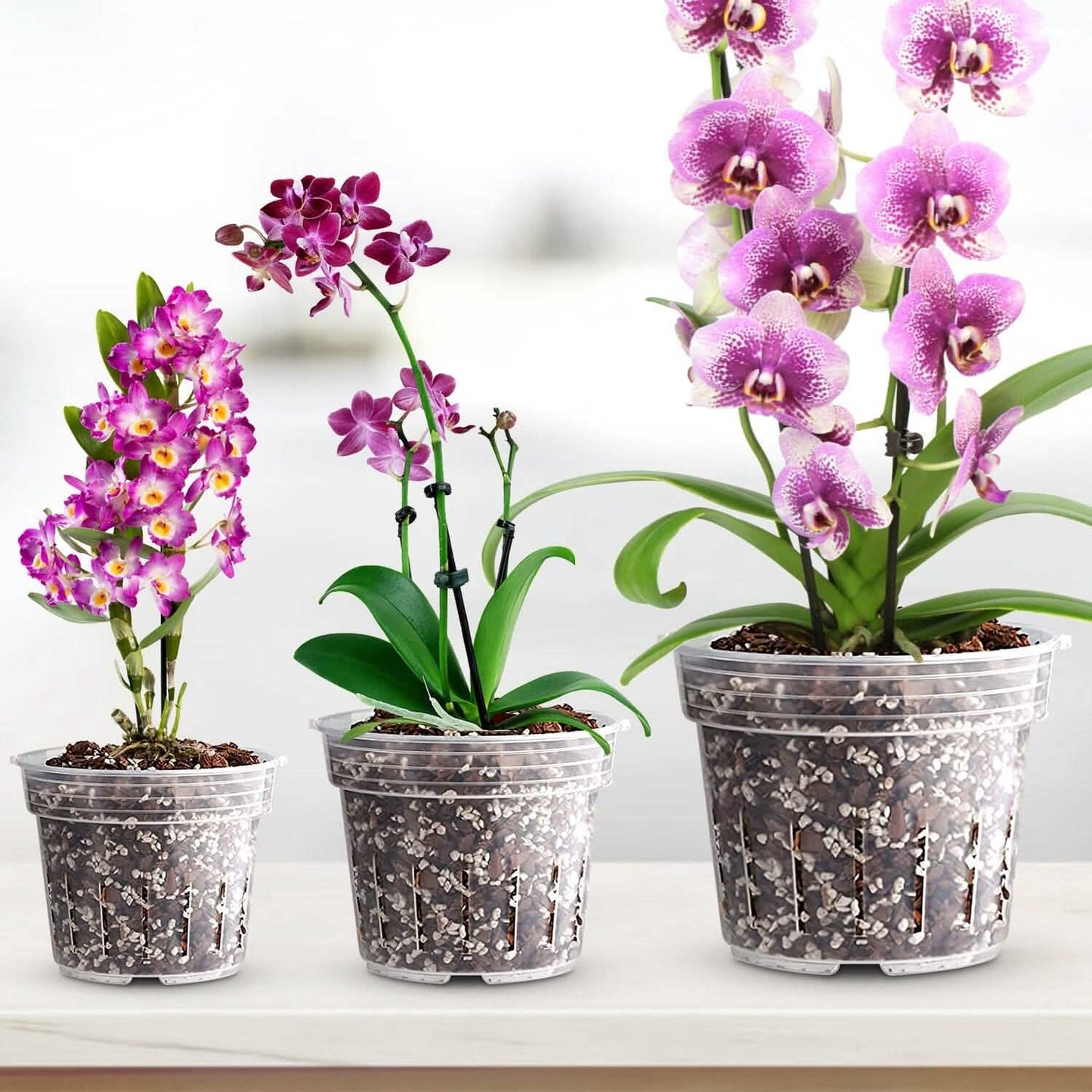 9-Piece: Orchid Pots Clear Reusable Plastic Flower Plant Nursery Planter DailySale