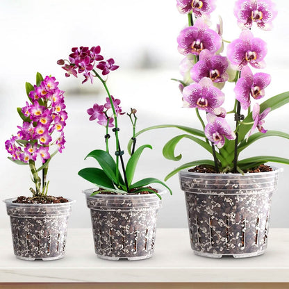9-Piece: Orchid Pots Clear Reusable Plastic Flower Plant Nursery Planter DailySale