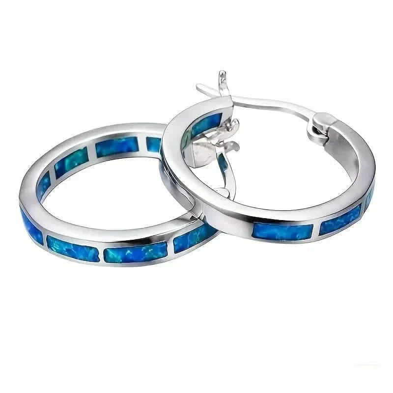 925 Sterling Silver Circular Hoop Earrings DailySale