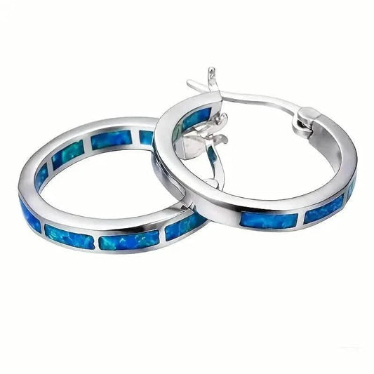 925 Sterling Silver Circular Hoop Earrings DailySale
