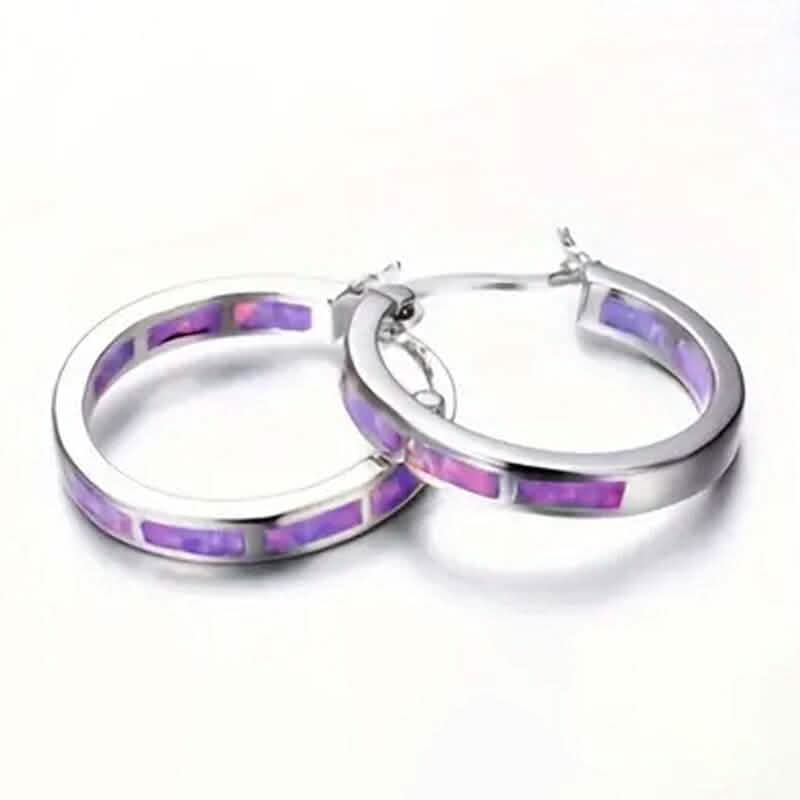 925 Sterling Silver Circular Hoop Earrings DailySale
