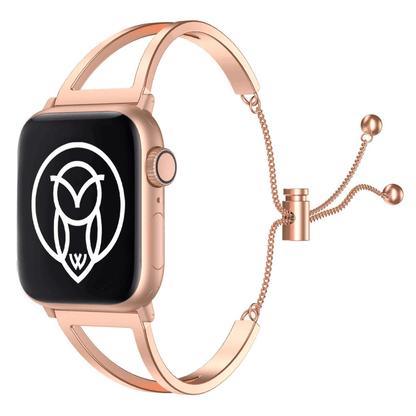 WizeBand Starter Kit WizeBand