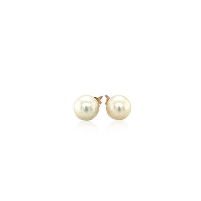 14k Yellow Gold Freshwater Cultured White Pearl Stud Earrings (6.0 mm) Bids.com