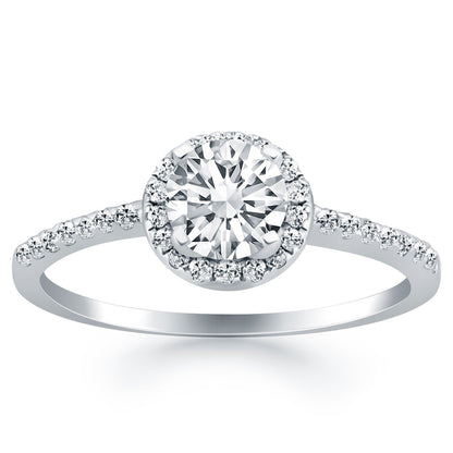 14k White Gold Diamond Halo Collar Engagement Ring Bids.com
