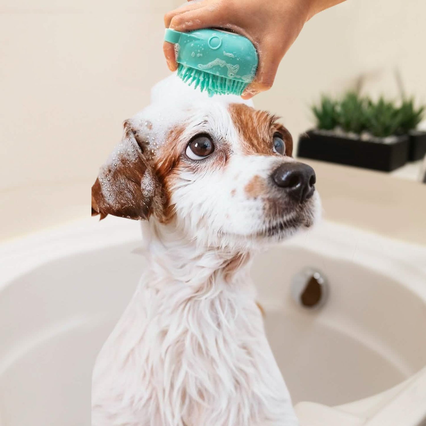 Soft Dog Cat Pet Bath Scrubber Massager Brush With Shampoo Dispenser DailySale