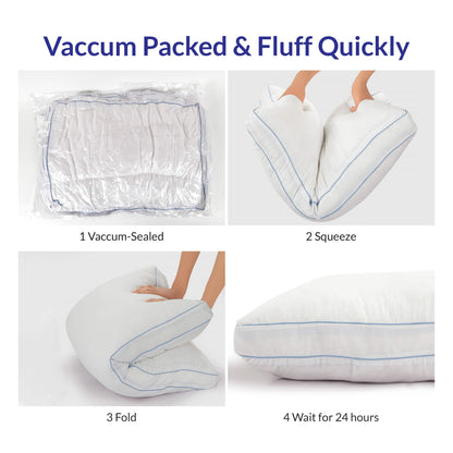 2-Pack: Royale Linens  Gusseted Pillows Soft Hotel Quality DailySale