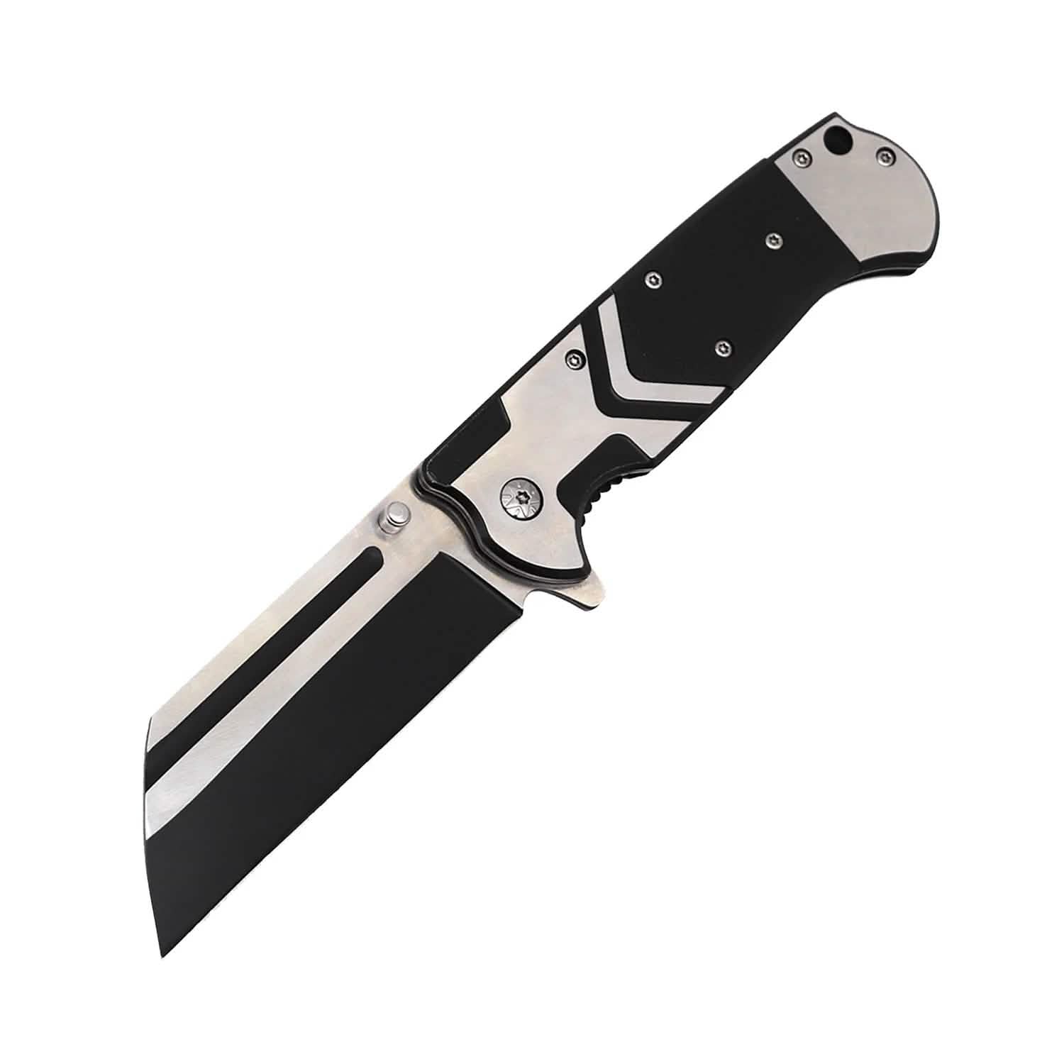 2-Pack: 3.75" Spring-Assisted Knife DailySale
