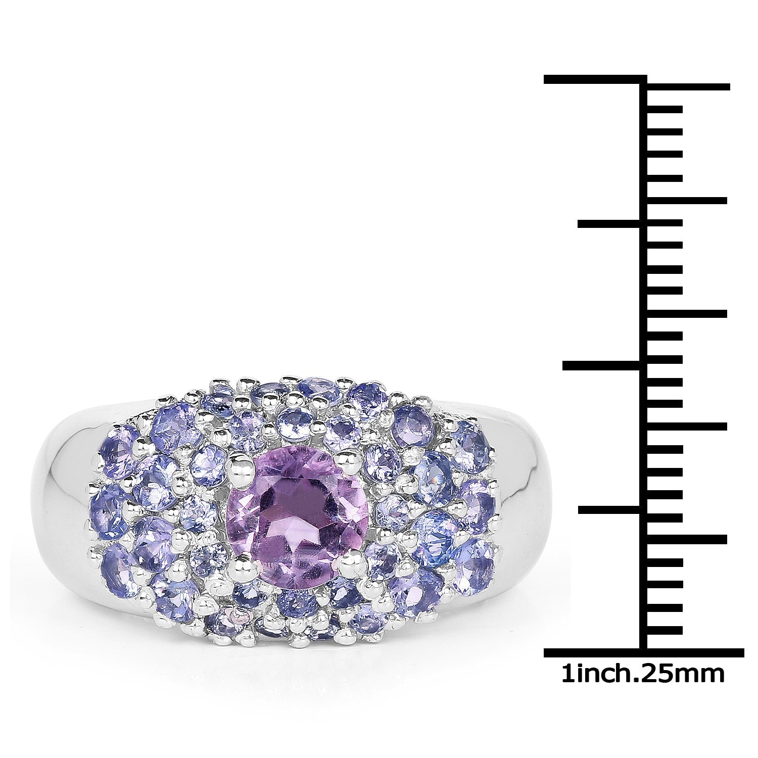 2.43 Carat Genuine Amethyst and Tanzanite .925 Sterling Silver Ring Bids.com