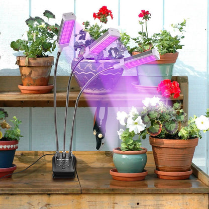 Adjustable 3-Head Grow Lights for Indoor Plants with Timer DailySale
