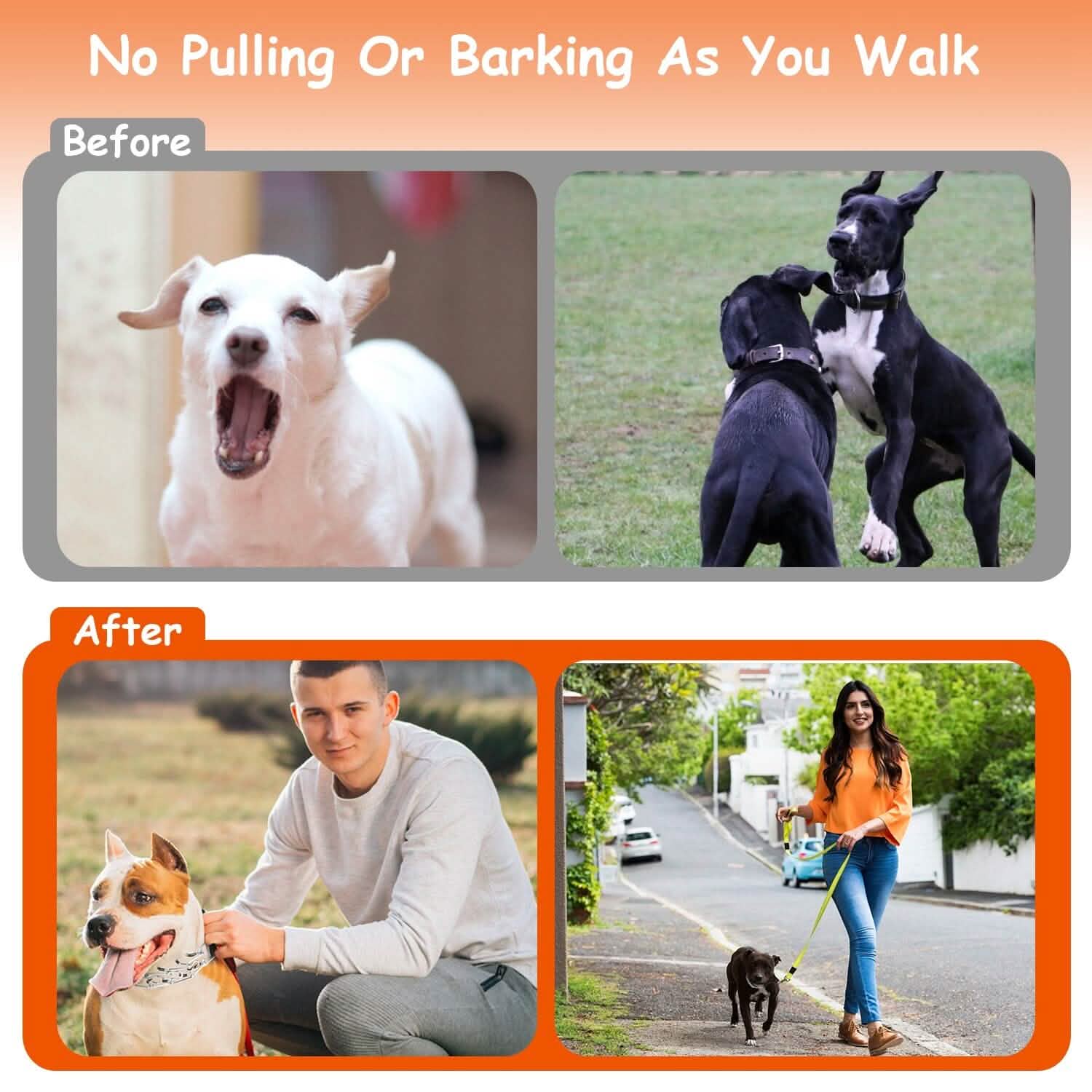 Adjustable Dog Choke Collar Training Chain DailySale