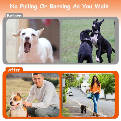 Adjustable Dog Choke Collar Training Chain DailySale