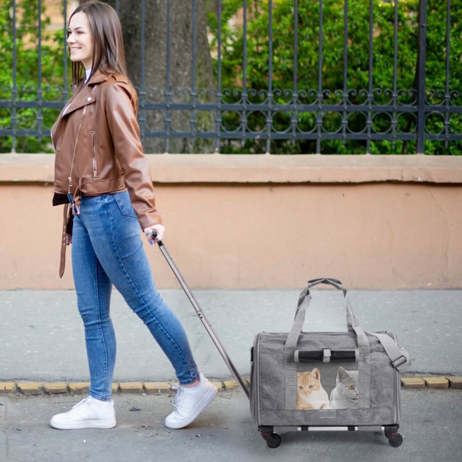 Airline Approved Rolling Pet Carrier with Telescopic Handle Shoulder Strap DailySale