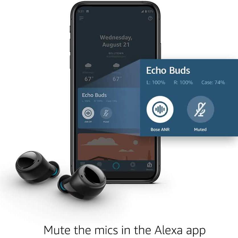Amazon Echo Buds True Wireless In-Ear Earphones DailySale