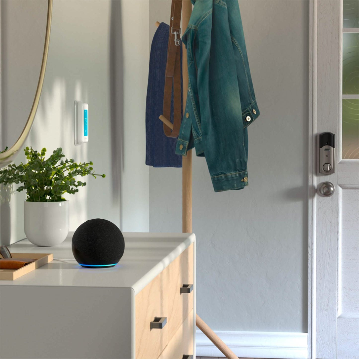 Amazon - Echo Dot (4th Gen) Smart Speaker with Alexa DailySale
