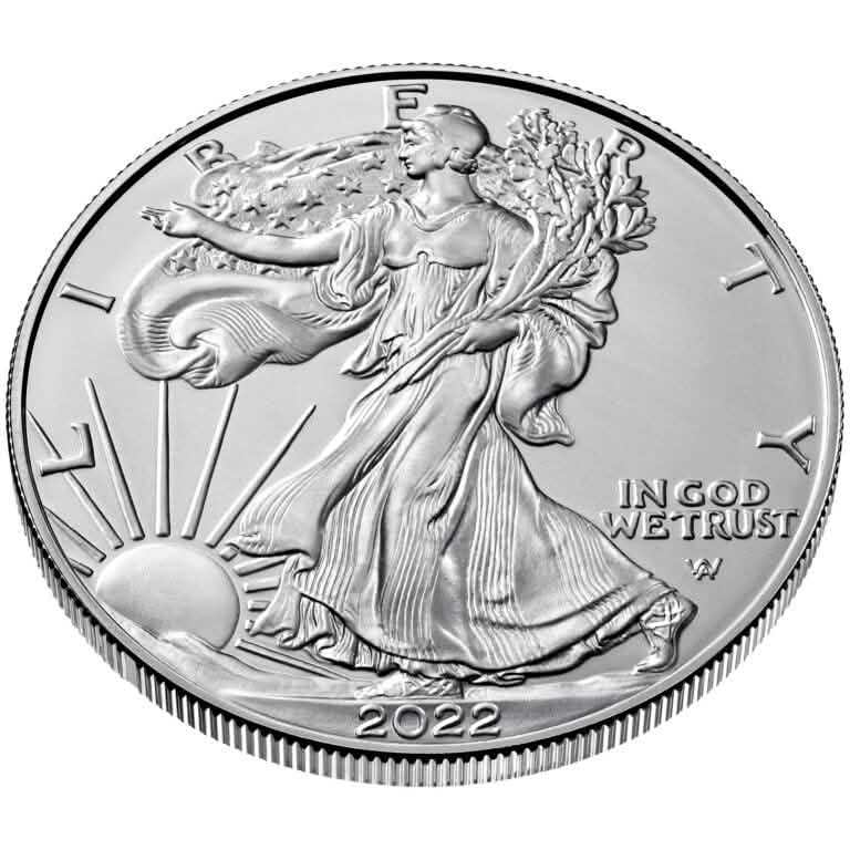 American Silver Eagle 1 oz Random Year DailySale