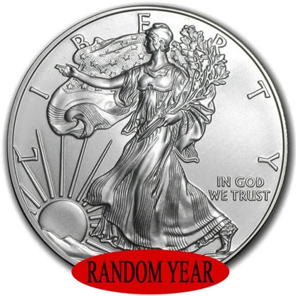 American Silver Eagle 1 oz Random Year DailySale