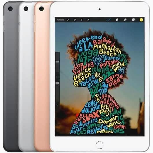 Apple iPad Mini 5th Gen (2019) WiFi (Refurbished) DailySale
