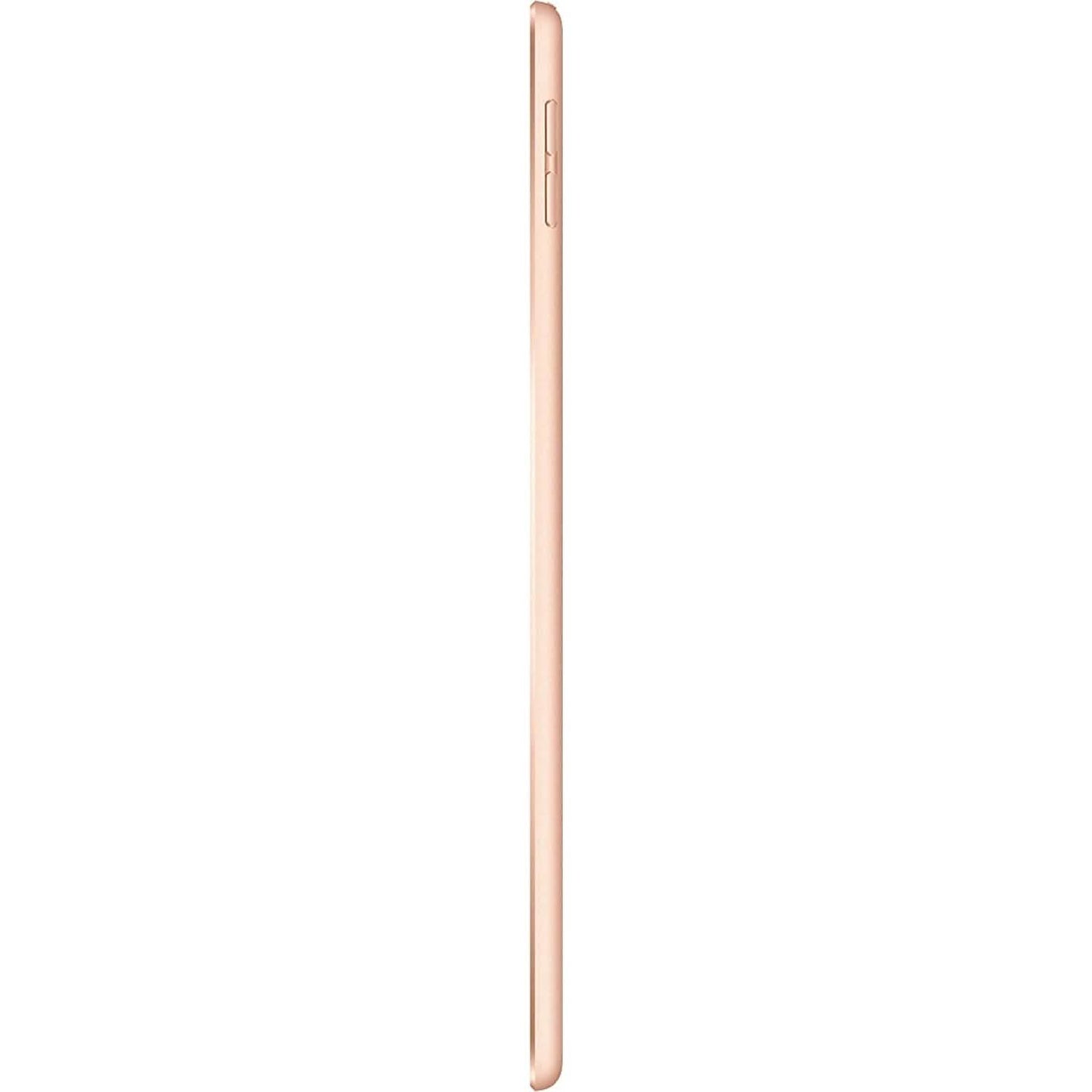 Apple iPad Mini 5th Generation Wi-Fi + 4G Cellular (Refurbished) DailySale
