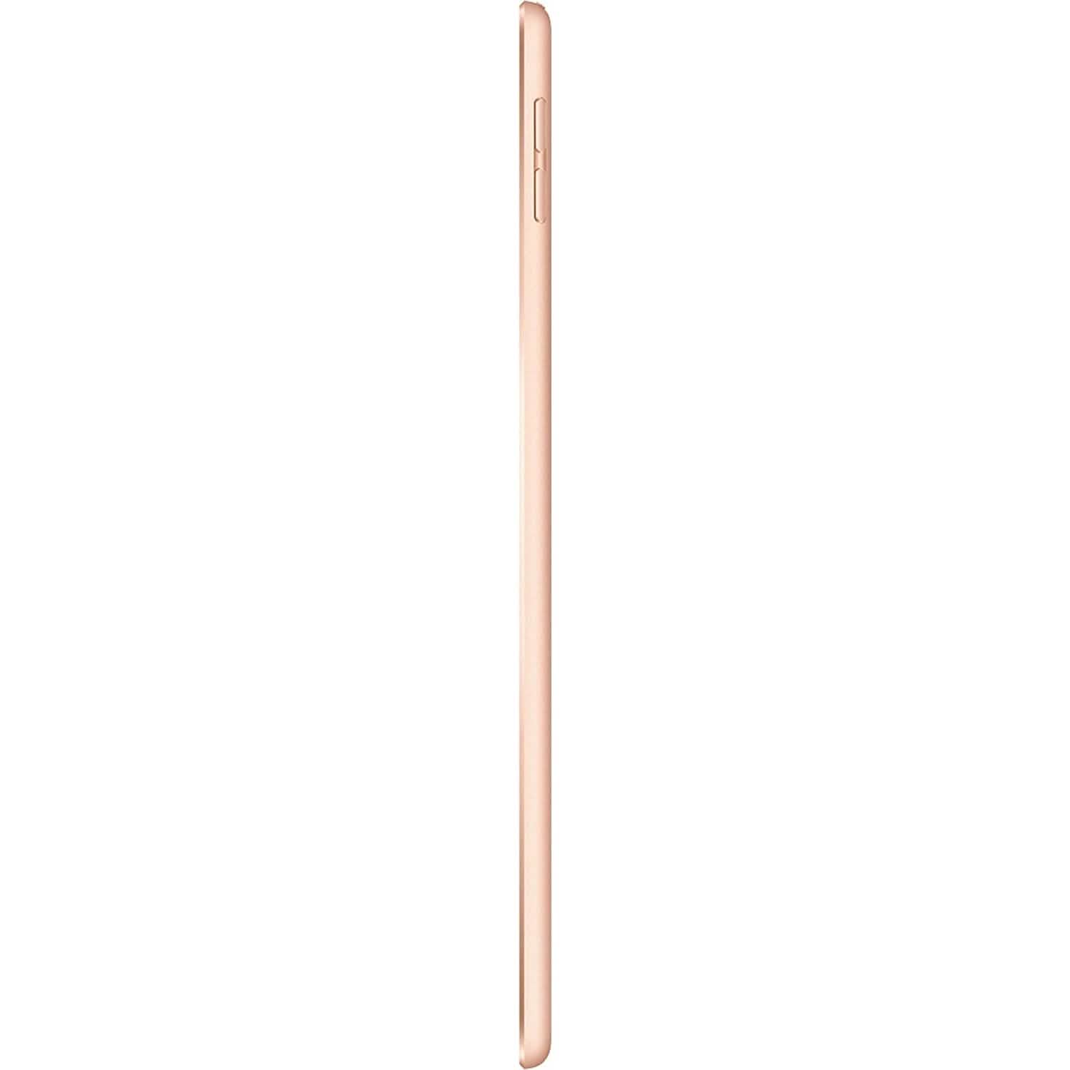 Apple iPad Mini 5th Generation Wi-Fi + 4G Cellular (Refurbished) DailySale