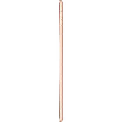Apple iPad Mini 5th Generation Wi-Fi + 4G Cellular (Refurbished) DailySale
