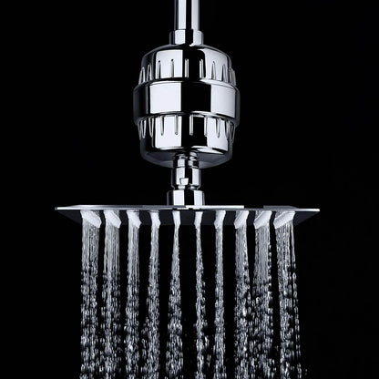 AquaBliss High Output Revitalizing Shower Filter DailySale
