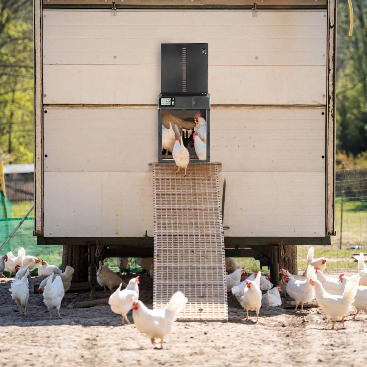 Automatic Chicken Coop Door with Timer Setting DailySale
