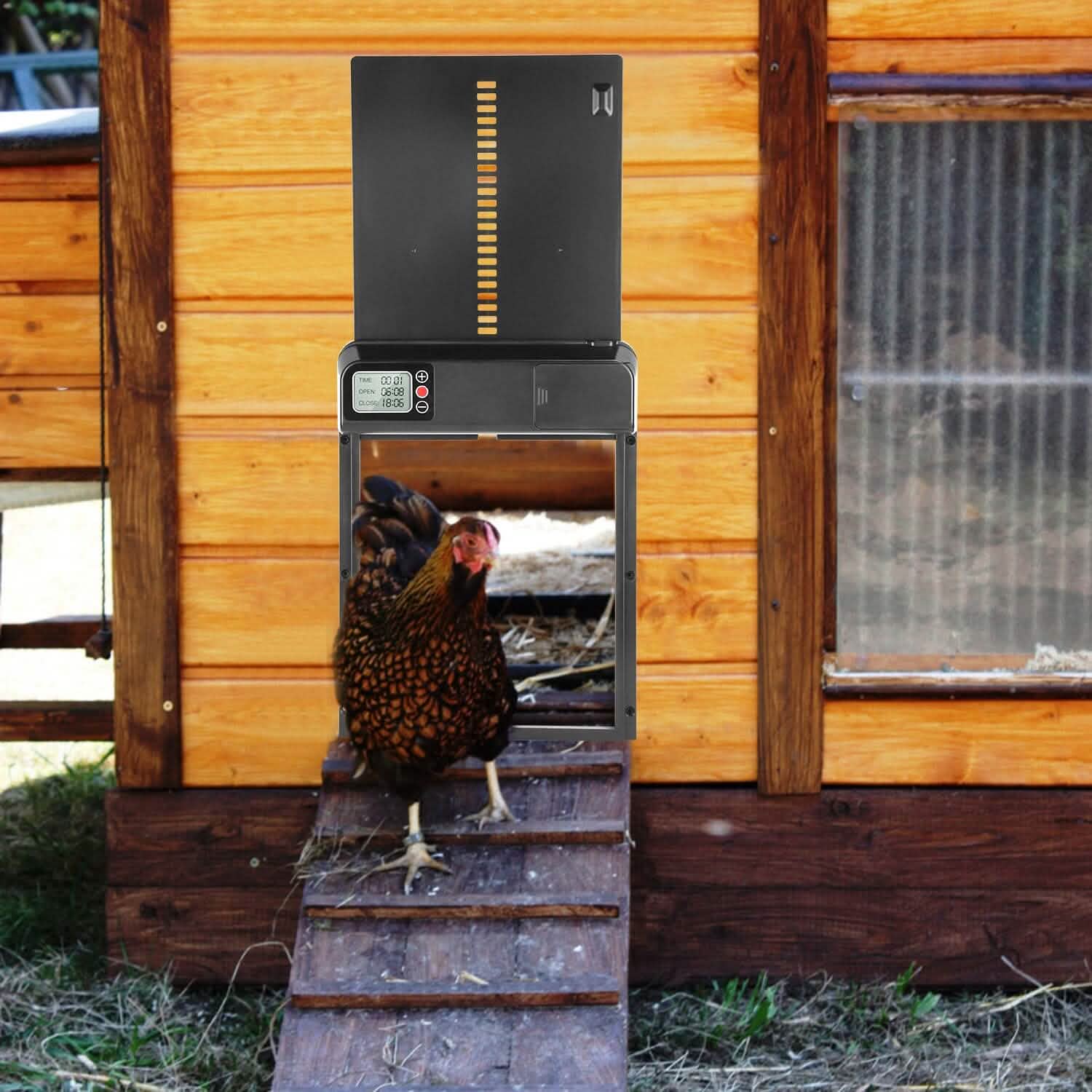 Automatic Chicken Coop Door with Timer Setting DailySale