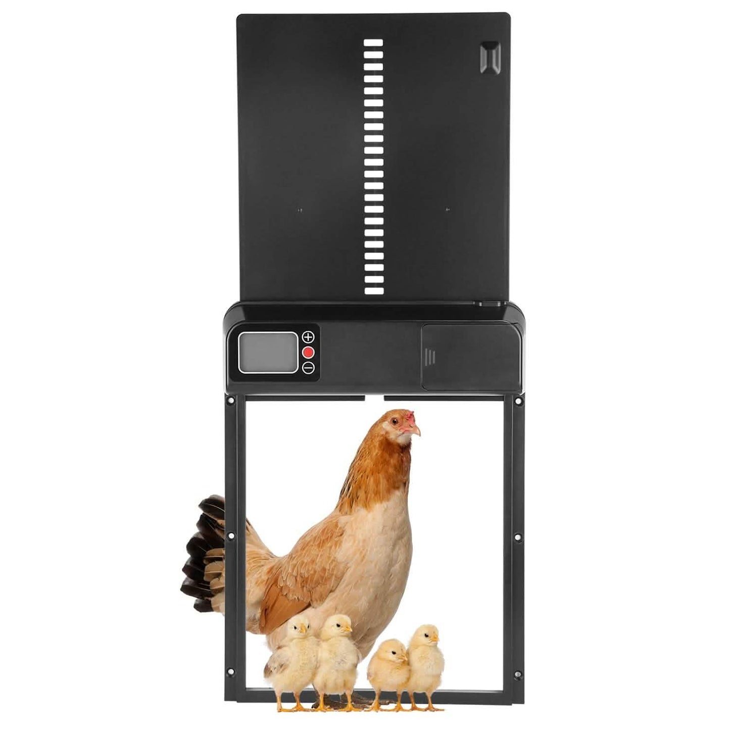 Automatic Chicken Coop Door with Timer Setting DailySale