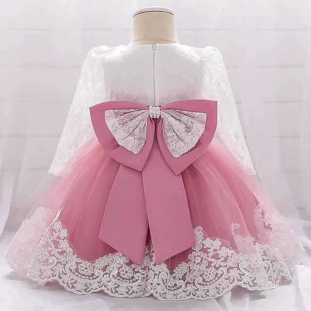 Baby Girls' Basic Christening Floral Dress DailySale