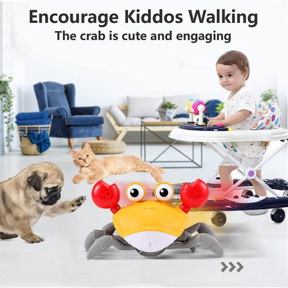 Baby Toys Infant Crawling Crab DailySale