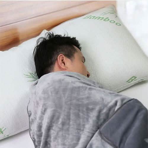 Bamboo Hypoallergenic Memory Foam Pillow DailySale