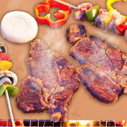 BBQ Grill Non-Stick Mat DailySale