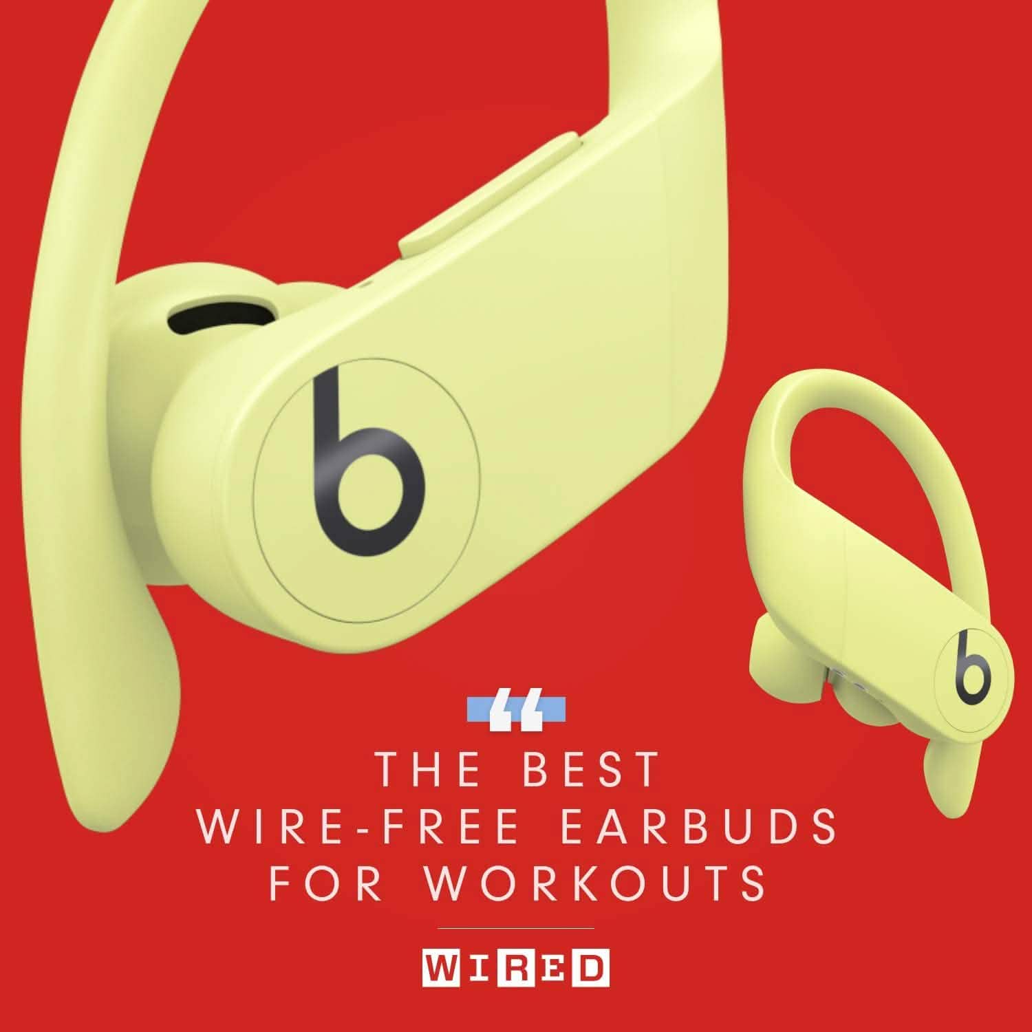 Beats Pro Totally Wireless and High-Performance Bluetooth Earphones (Refurbished) DailySale
