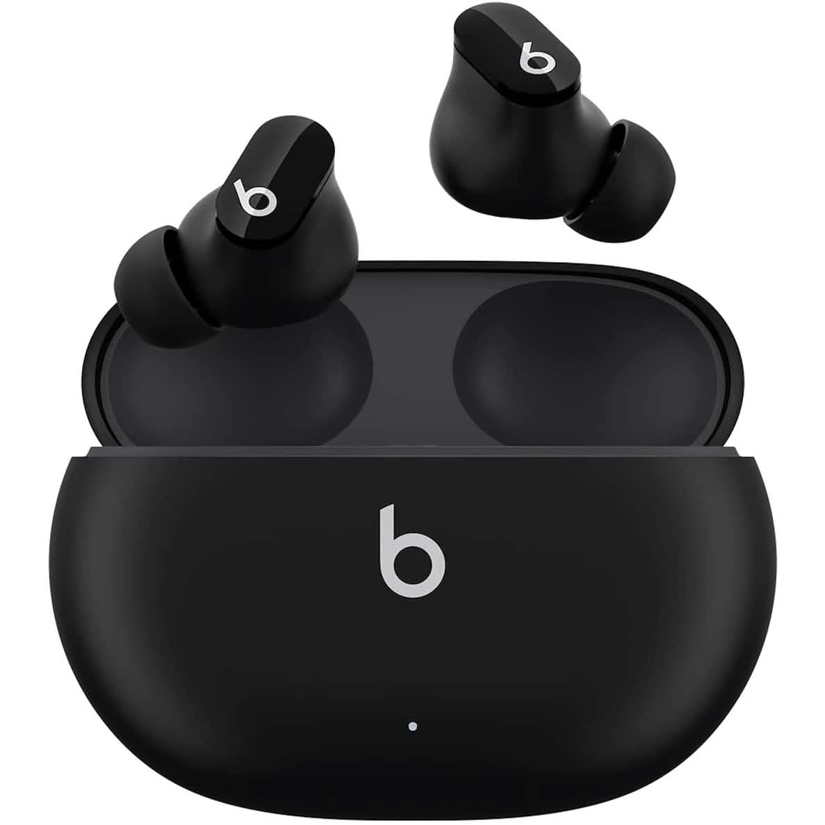 Beats True Wireless Noise Cancelling Earbuds DailySale