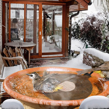 Bird Bath Deicer Outdoor Winter Water Heater Thermostatically Controlled DailySale