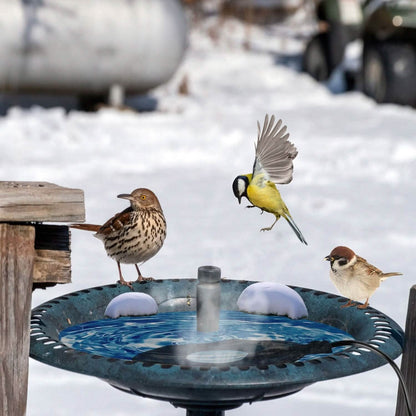 Bird Bath Deicer Outdoor Winter Water Heater Thermostatically Controlled DailySale