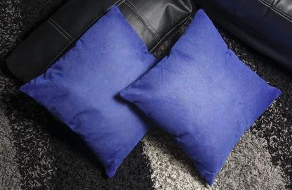 2-Pack: Blue Throw Pillows DailySale