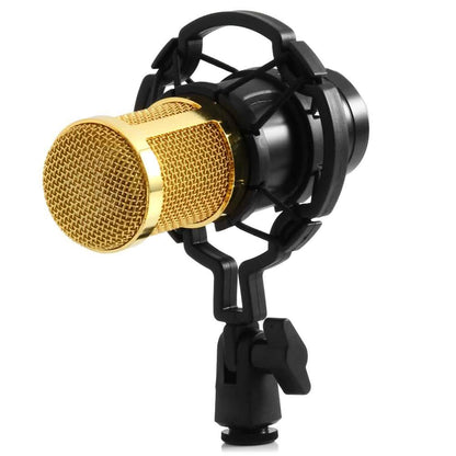 BM-800 Condenser Sound Recording Microphone with Shock Mount for Radio Braodcasting DailySale