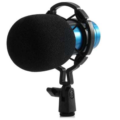 BM-800 Condenser Sound Recording Microphone with Shock Mount for Radio Braodcasting DailySale