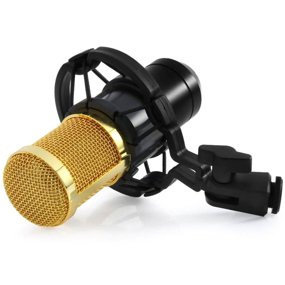 BM-800 Condenser Sound Recording Microphone with Shock Mount for Radio Braodcasting DailySale