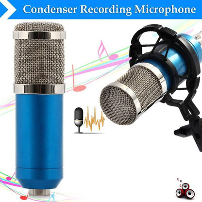 BM-800 Condenser Sound Recording Microphone with Shock Mount for Radio Braodcasting DailySale