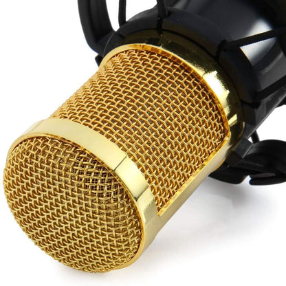 BM-800 Condenser Sound Recording Microphone with Shock Mount for Radio Braodcasting DailySale